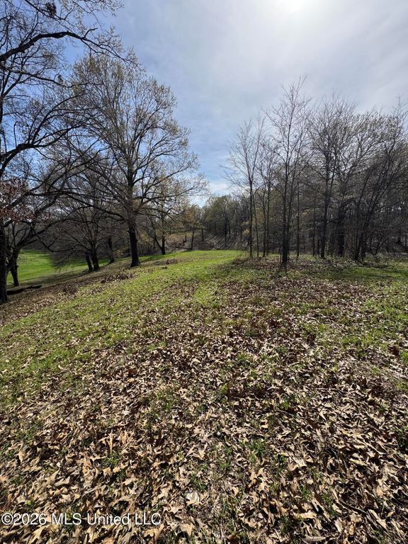 0 Green River Road, Lake Cormorant, MS 38641 — exterior