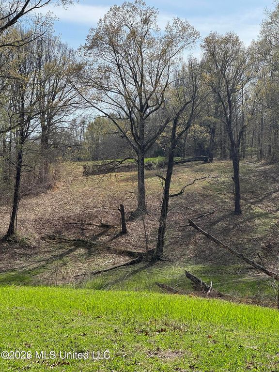 0 Green River Road, Lake Cormorant, MS 38641 — photo 2