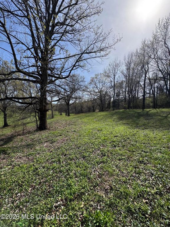 0 Green River Road, Lake Cormorant, MS 38641 — photo 3