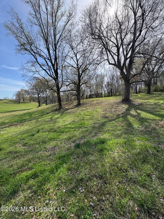0 Green River Road, Lake Cormorant, MS 38641 — photo 4