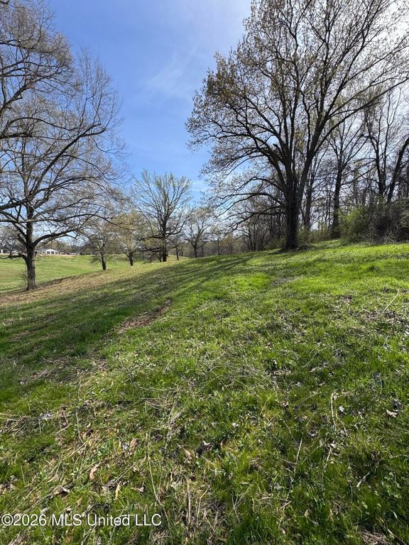 0 Green River Road, Lake Cormorant, MS 38641 — photo 5