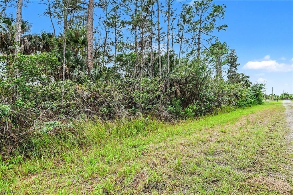 515 Woodman DR, LEHIGH ACRES, FL 33972 — exterior