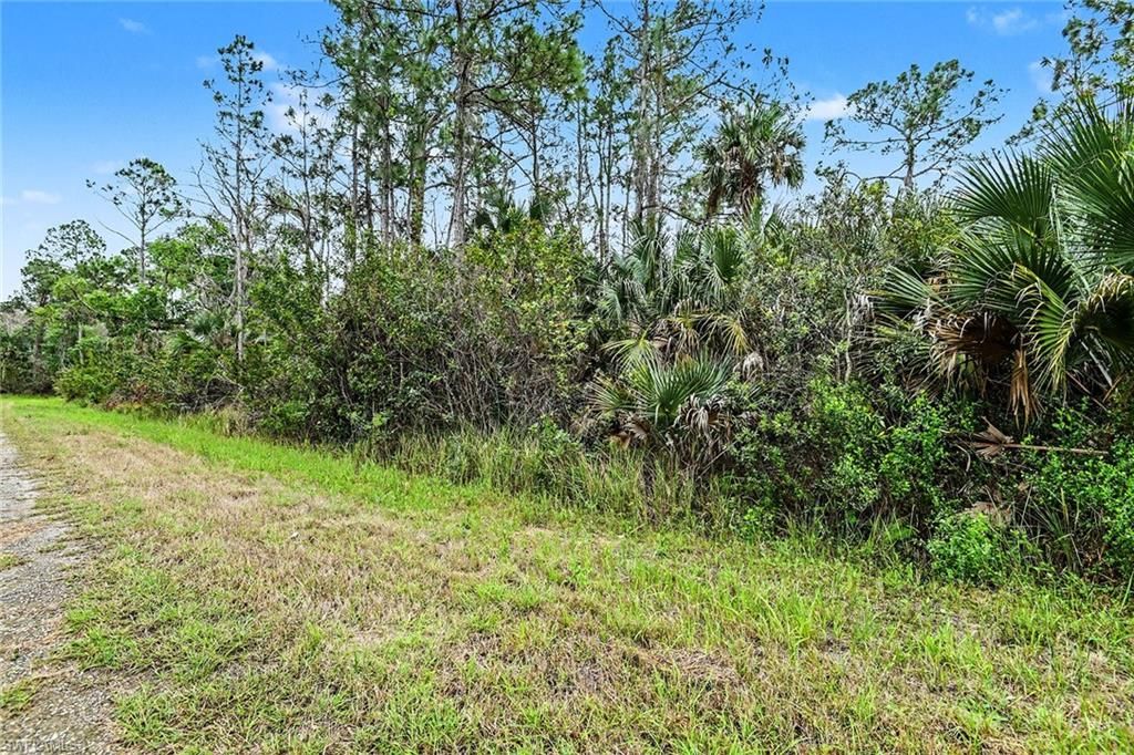 515 Woodman DR, LEHIGH ACRES, FL 33972 — photo 2