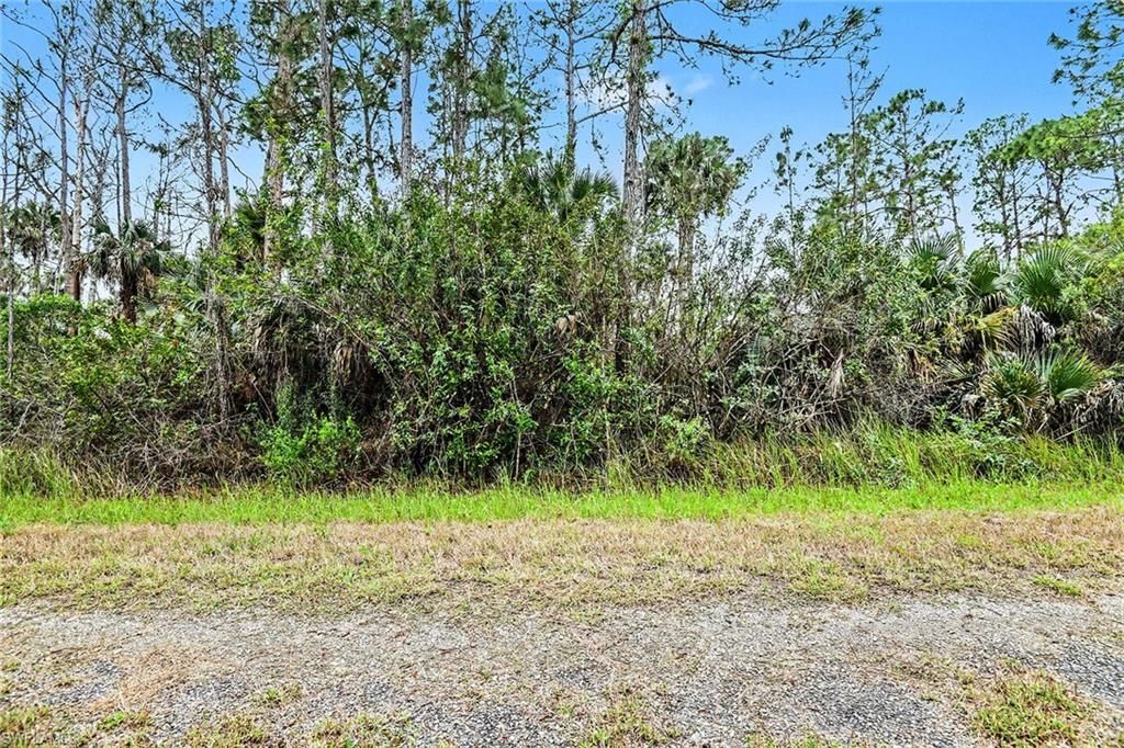 515 Woodman DR, LEHIGH ACRES, FL 33972 — photo 3