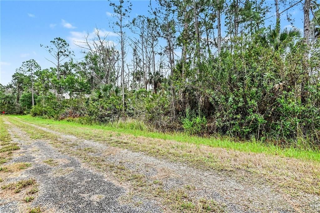 515 Woodman DR, LEHIGH ACRES, FL 33972 — photo 5