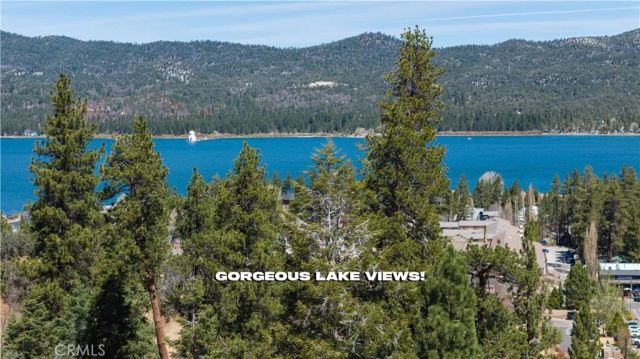 881 Paine Road, Big Bear, CA 92315