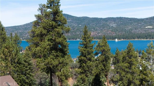 881 Paine Road, Big Bear, CA 92315