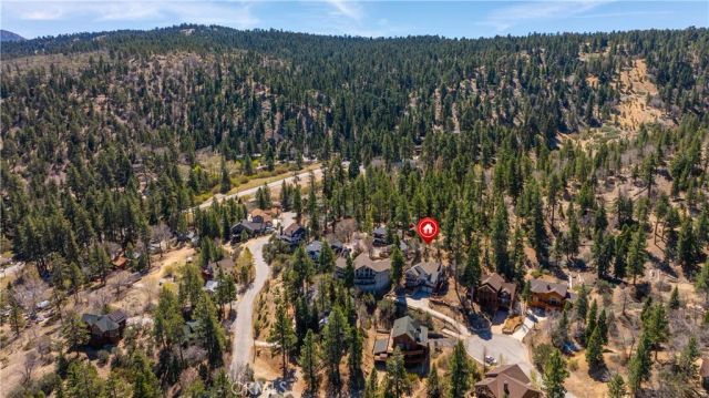 881 Paine Road, Big Bear, CA 92315