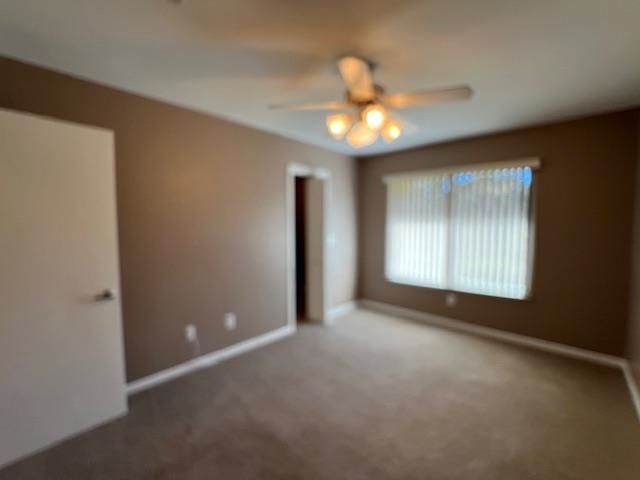 2537 Stonegate Drive, Tallahassee, FL 32308