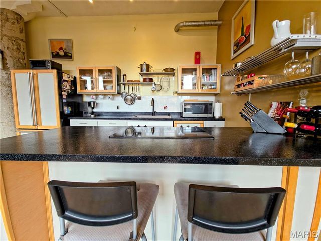 1627 Locust Street 402, St Louis, MO 63103