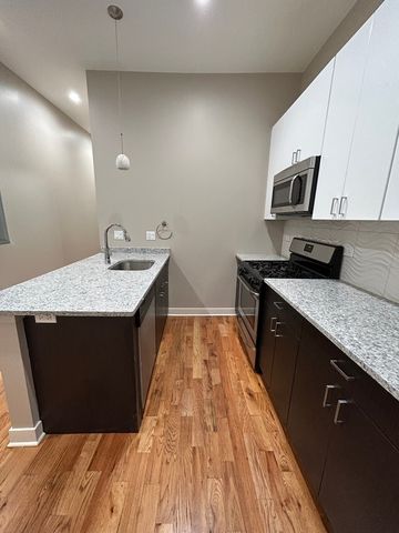 753 W Buckingham Place 1, Chicago, IL 60657