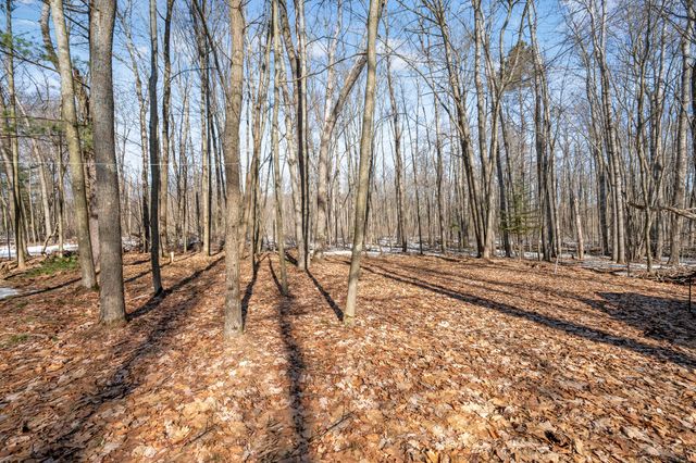 7174 Oak Hollow Trail, Lake, MI 48632