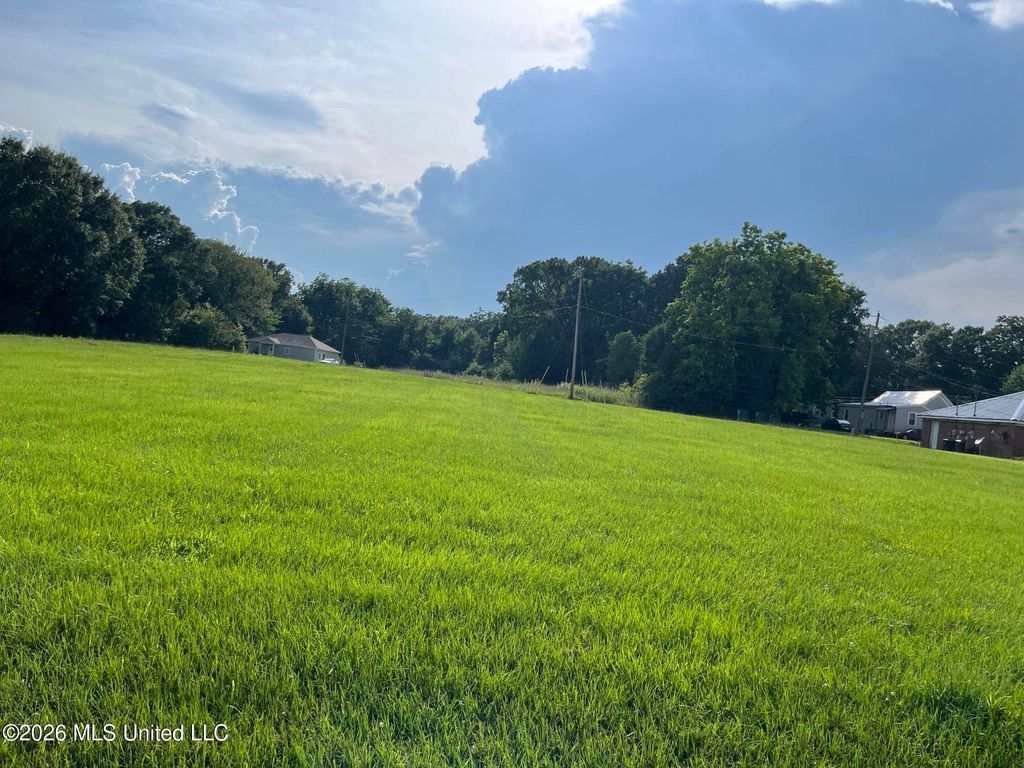 Scott Street, Senatobia, MS 38668 — photo 3