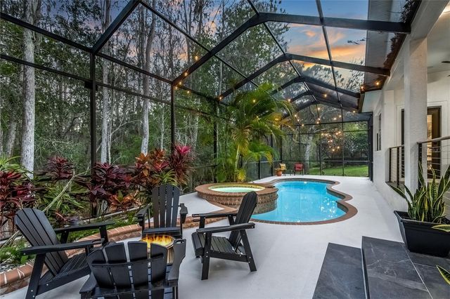 12116 SAN CHALIFORD COURT, Tampa, FL 33626