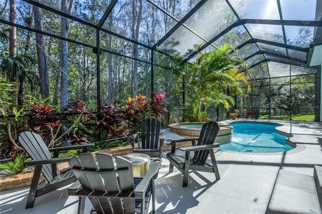 12116 SAN CHALIFORD COURT, Tampa, FL 33626