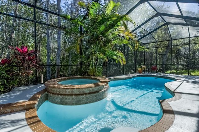 12116 SAN CHALIFORD COURT, Tampa, FL 33626