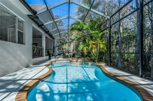 12116 SAN CHALIFORD COURT, Tampa, FL 33626