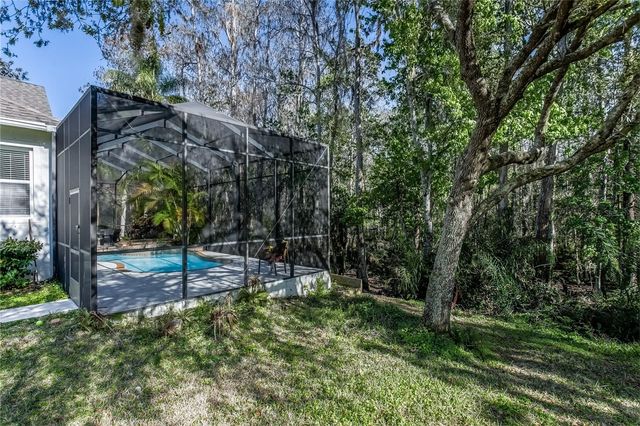 12116 SAN CHALIFORD COURT, Tampa, FL 33626