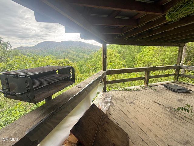 174 Doty Road, Roan Mountain, TN 37687