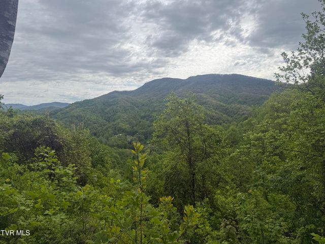 174 Doty Road, Roan Mountain, TN 37687
