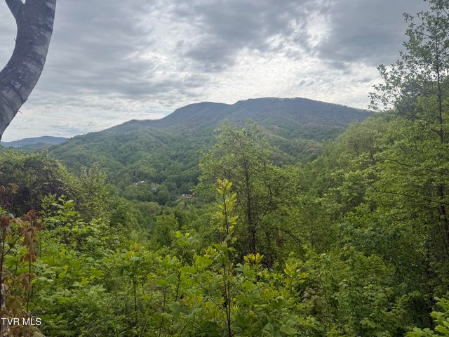 174 Doty Road, Roan Mountain, TN 37687