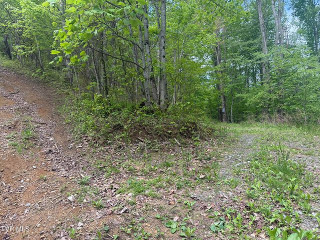 174 Doty Road, Roan Mountain, TN 37687