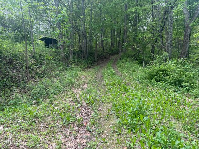 174 Doty Road, Roan Mountain, TN 37687