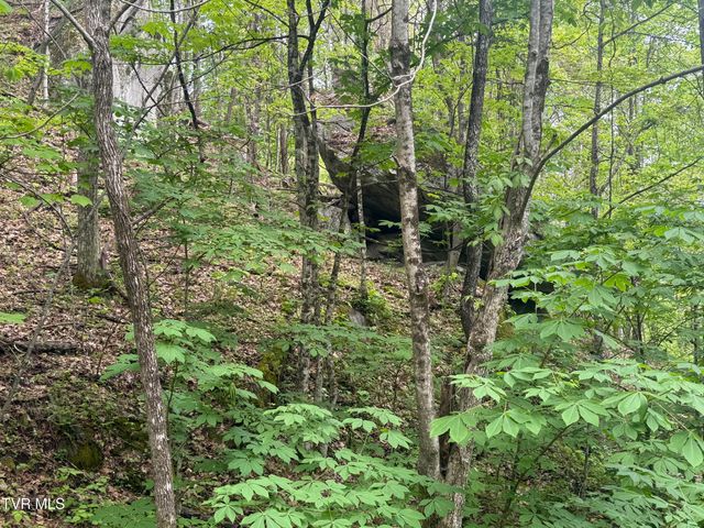 174 Doty Road, Roan Mountain, TN 37687