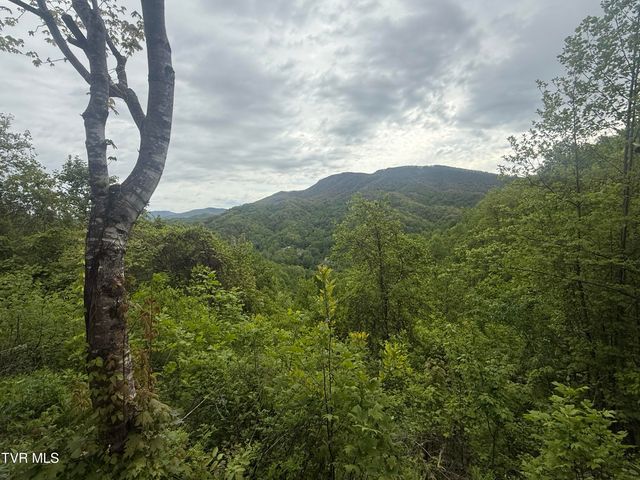 174 Doty Road, Roan Mountain, TN 37687