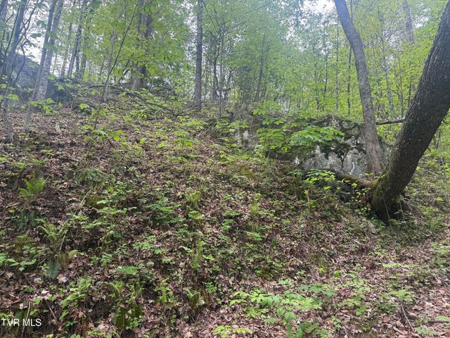 174 Doty Road, Roan Mountain, TN 37687