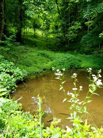 174 Doty Road, Roan Mountain, TN 37687