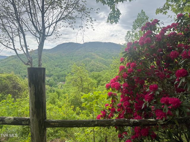 174 Doty Road, Roan Mountain, TN 37687