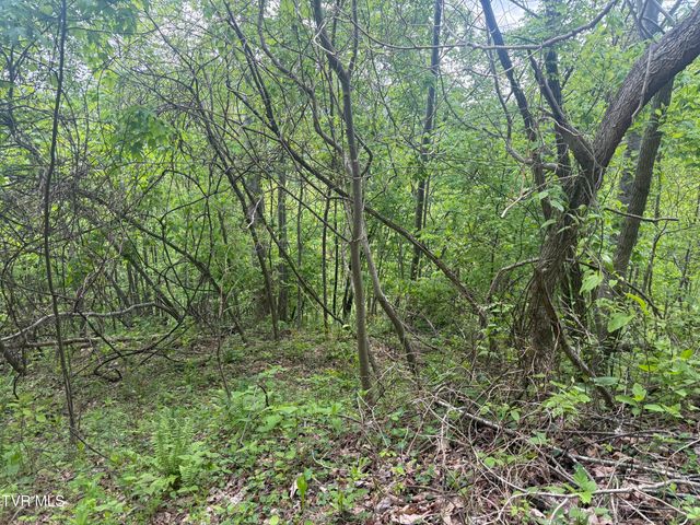 174 Doty Road, Roan Mountain, TN 37687