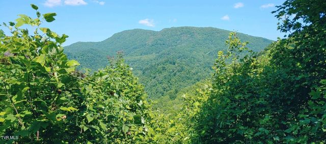 174 Doty Road, Roan Mountain, TN 37687