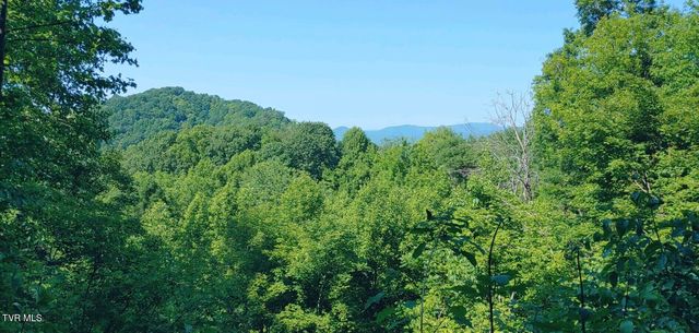 174 Doty Road, Roan Mountain, TN 37687
