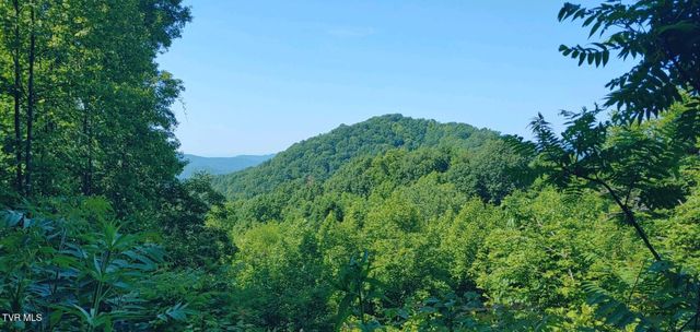 174 Doty Road, Roan Mountain, TN 37687