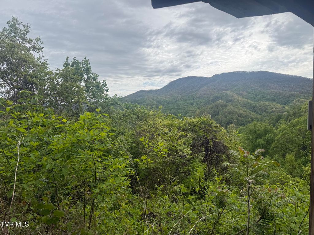 174 Doty Road, Roan Mountain, TN 37687