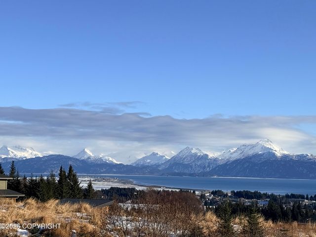 681 Nelson Avenue, Homer, AK 99603