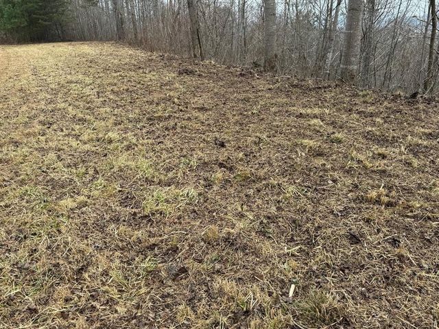 Lot 10 Chatuge Manor, Young Harris, GA 30582