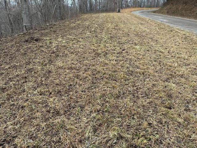 Lot 10 Chatuge Manor, Young Harris, GA 30582