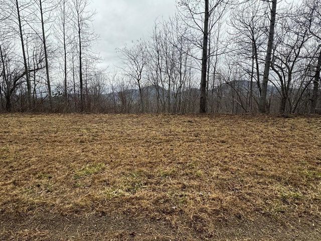 Lot 10 Chatuge Manor, Young Harris, GA 30582