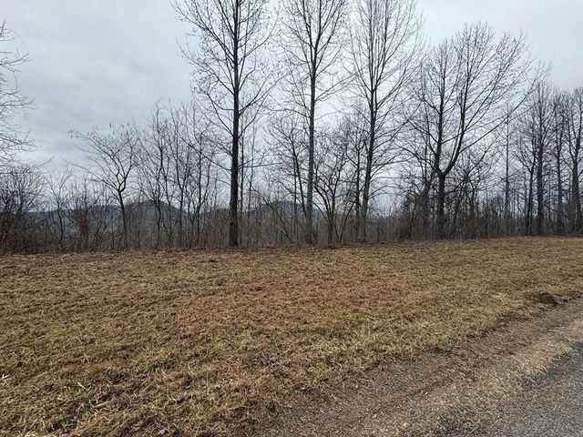 Lot 10 Chatuge Manor, Young Harris, GA 30582