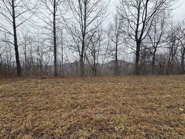 Lot 10 Chatuge Manor, Young Harris, GA 30582