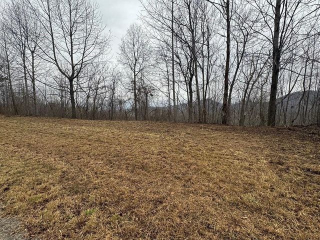 Lot 10 Chatuge Manor, Young Harris, GA 30582