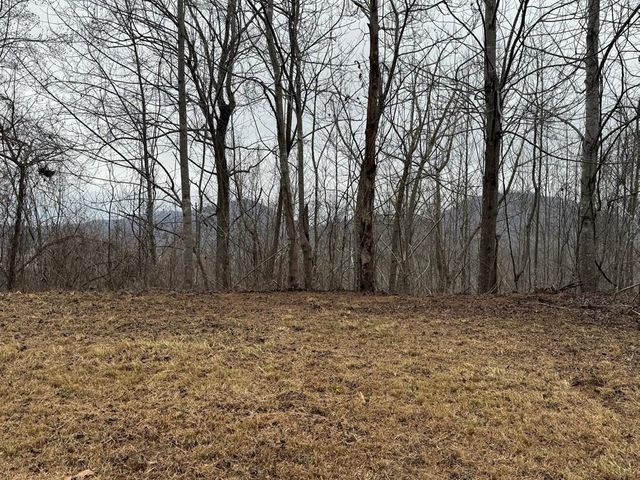 Lot 10 Chatuge Manor, Young Harris, GA 30582