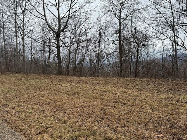 Lot 10 Chatuge Manor, Young Harris, GA 30582