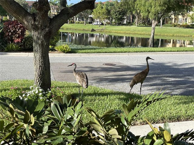 3810 82ND AVENUE CIRCLE E 106, Sarasota, FL 34243