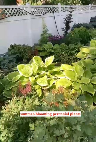 1916 34th Street, Des Moines, IA 50310