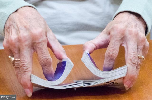 31 HARLEQUIN LOOP, Bridgeville, DE 19933