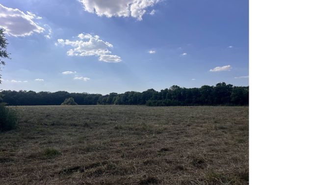 2101 Wilkinson Road, Mesquite, TX 75181